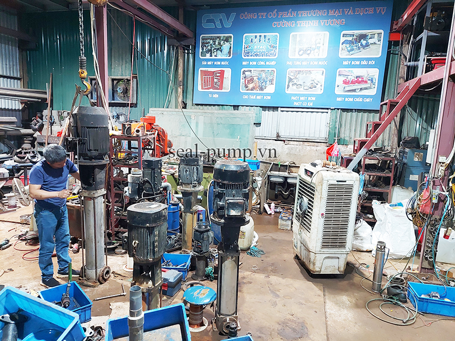 Sửa máy bơm trục đứng chuyên nghiệp, uy tín tại Cường Thịnh Vương